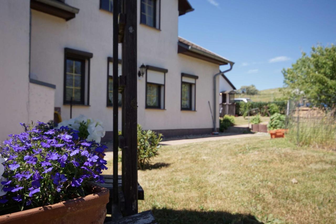 Ferienwohnungen Beim Fischer Und Sin Fru Klein Zicker Exterior foto